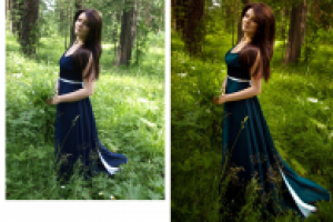 Работа 1567380