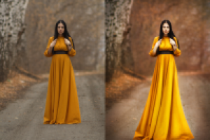 Работа 1484182