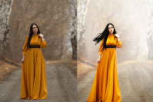 Работа 1484174