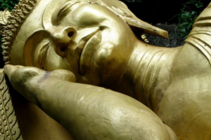 Хорошее утро начинается ночью, или Искусство высыпаться