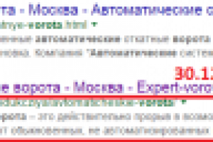 Автоматические ворота гугл 2 место