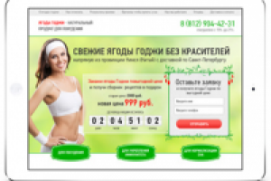 лендинг - Ягоды годжи