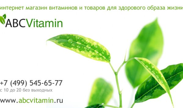 img3366074.png