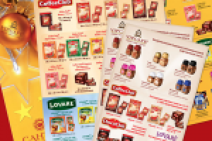 Фирменные странички в каталогах продукции