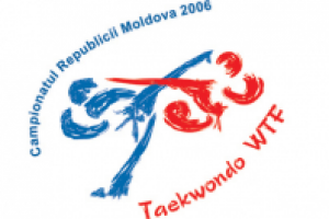 Логотип для чемпионата по Таеквондо в 2006 году