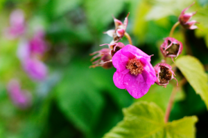 Работа 3459897