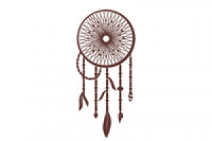 Название и логотип компании «Dreamcatcher»