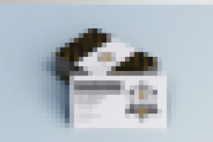 Простое Инженерное Товарищество