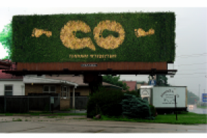 Телеканал путешествий GO