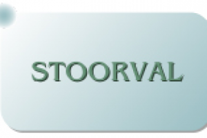 Фирма/сайт с предложением услуг по 100 рублей.