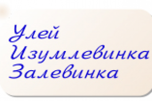 Сеть автозаправочных станций, магазинов (Левин).