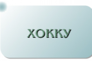 Страховая компания/страховое агентство.