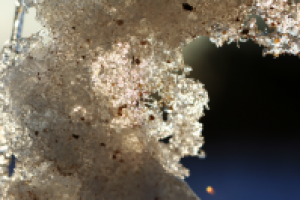 Работа 1995645