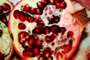 Работа 1995580