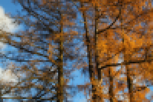 Работа 1995569