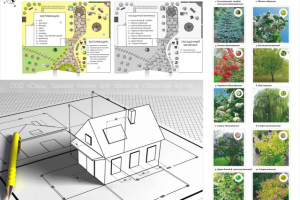 Векторная графика планов ландшафтного проекта г. Сибай
