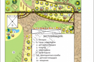 Дендроплан