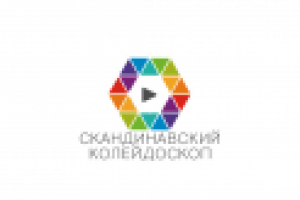 Логотип для сайта компании Скандинавский колейдоскоп