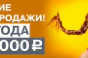 Работа 2926508