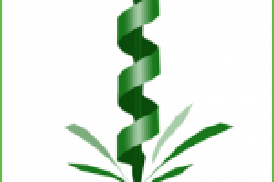 Иконка для сайта