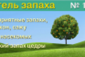 Баннер для слайдера на сайте