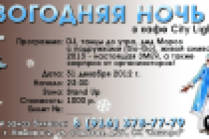 Билет входной новогодний