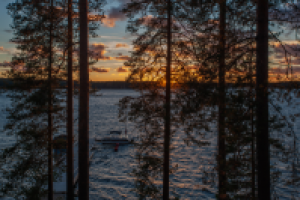 Работа 2631049