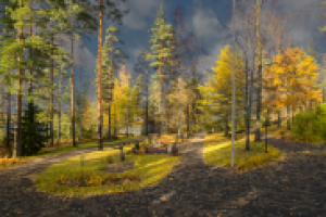 Работа 2631040