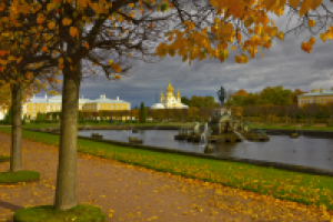 Работа 2631010