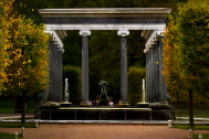 Работа 2631009