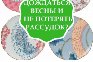 Ведение аккаунтов в соцсетях интернет-магазина фарфора