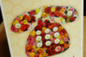 Листовка-открытка для распространения по почтовым ящикам