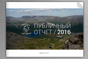 Публичный отчёт ПиМ 2016