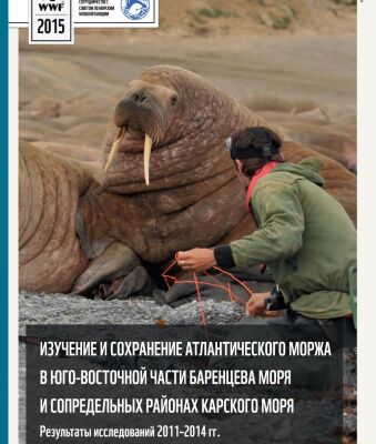 img3274855.png