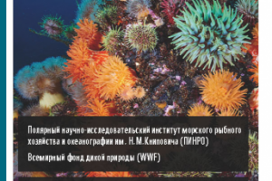 ПАЛУБНЫЙ ОПРЕДЕЛИТЕЛЬ ОСНОВНЫХ ГРУПП МЕГАБЕНТОСА БАРЕНЦЕВА МОРЯ