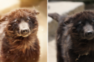 Обработка фото