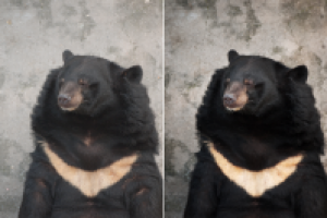 Коррекция фото