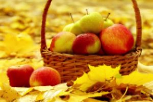 Рекламный фоторолик "МДМ. Горячие проценты"