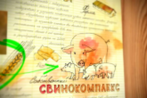 Инфографика "КМК. Рецепт хорошей колбасы"