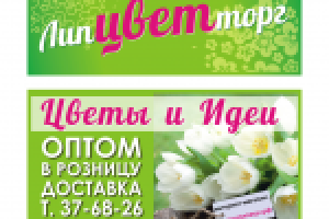 Работа 1920649