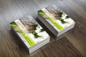 Работа 1923995