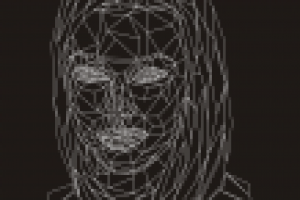 лоу поли каркас