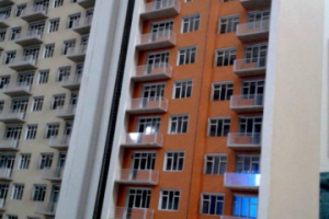 Работа 3476346