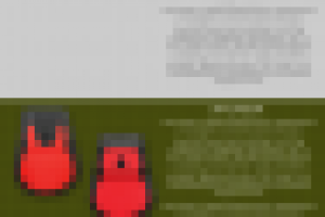 LP для продажи травматического оружия