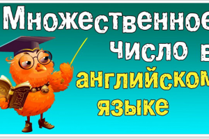 Множественное число существительных