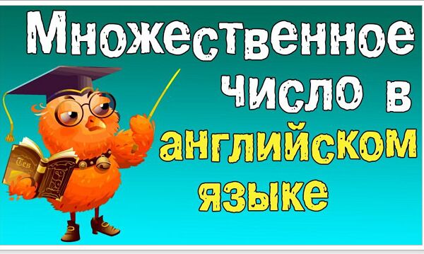 img3367037.png