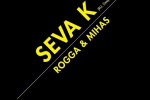 Ведение встречи мероприятия Seva K