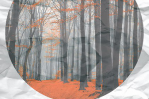 Ведение встречи мероприятия Telepopmusic