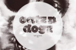 Ведение встречи мероприятия CatznDogz