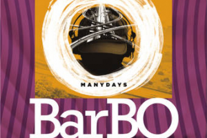 Ведение встречи мероприятия BarBq